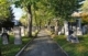 Ansicht einiger Gräber auf dem Alten Israelitischen Friedhof zu Leipzig